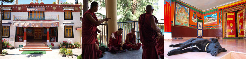 photo massage tibétain